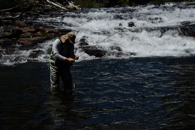 DSC_9933 (Large).JPG